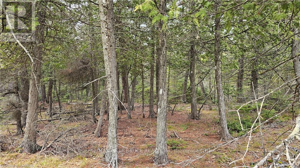 Lt 255 Pl 433 Pedwell Pt Drive, Northern Bruce Peninsula, Ontario  N0H 2R0 - Photo 3 - X10845663