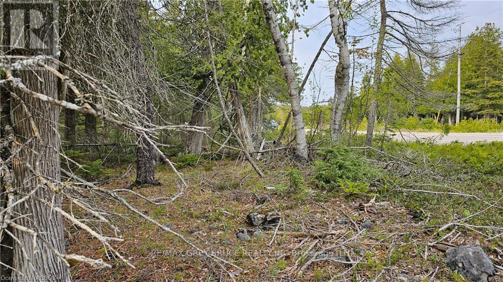 Lt 255 Pl 433 Pedwell Pt Drive, Northern Bruce Peninsula, Ontario  N0H 2R0 - Photo 4 - X10845663