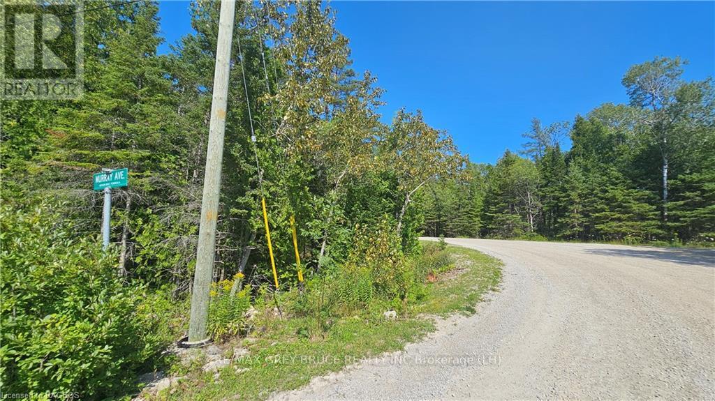Pt Lt 35 Con 3 Wbr Murray Avenue, Northern Bruce Peninsula, Ontario  N0H 1W0 - Photo 2 - X10845706