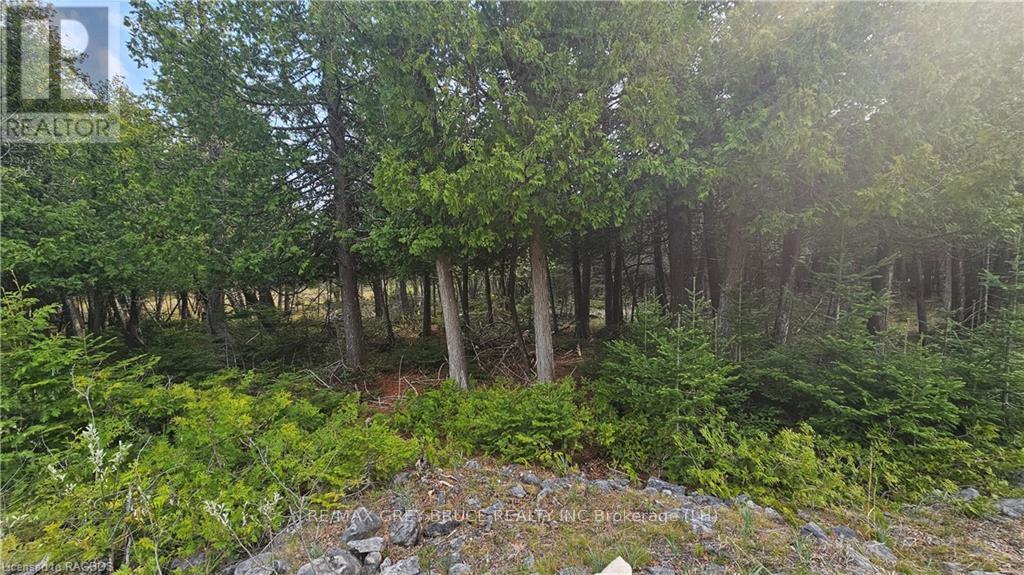 Lt 254 Pl 433 Dorcas Bay Road, Northern Bruce Peninsula, Ontario  N0H 2R0 - Photo 2 - X10845710