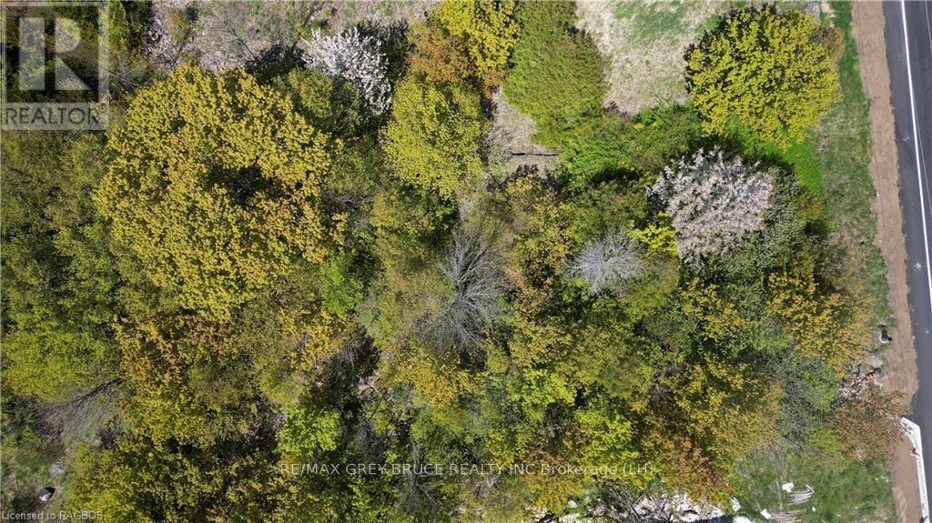 Pt Lt 30 Con 5 Ebr Isthmus Bay Road, Northern Bruce Peninsula, Ontario  N0H 1W0 - Photo 15 - X10845755