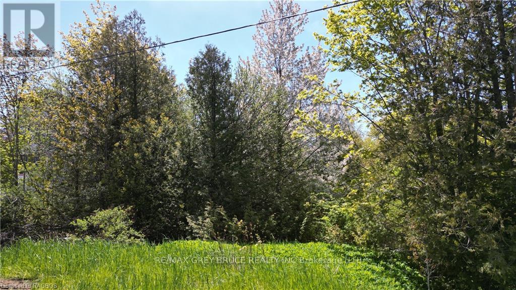 Pt Lt 30 Con 5 Ebr Isthmus Bay Road, Northern Bruce Peninsula, Ontario  N0H 1W0 - Photo 21 - X10845755