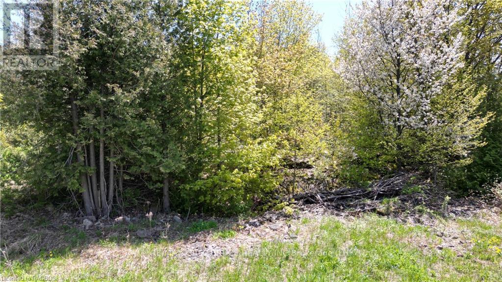 Pt Lt 30 Con 5 Ebr Isthmus Bay Road, Northern Bruce Peninsula, Ontario  N0H 1W0 - Photo 25 - X10845755