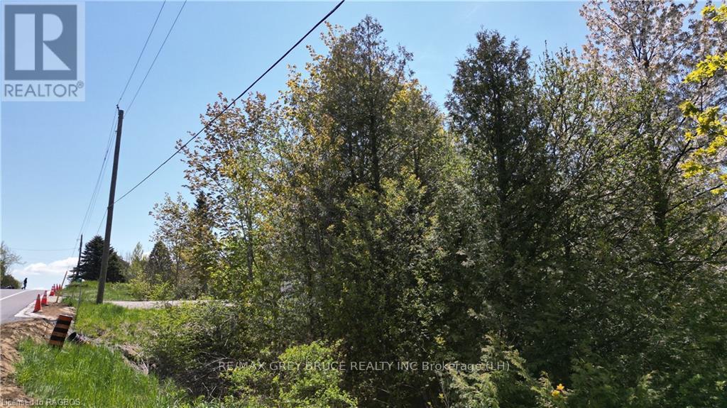 Pt Lt 30 Con 5 Ebr Isthmus Bay Road, Northern Bruce Peninsula, Ontario  N0H 1W0 - Photo 3 - X10845755