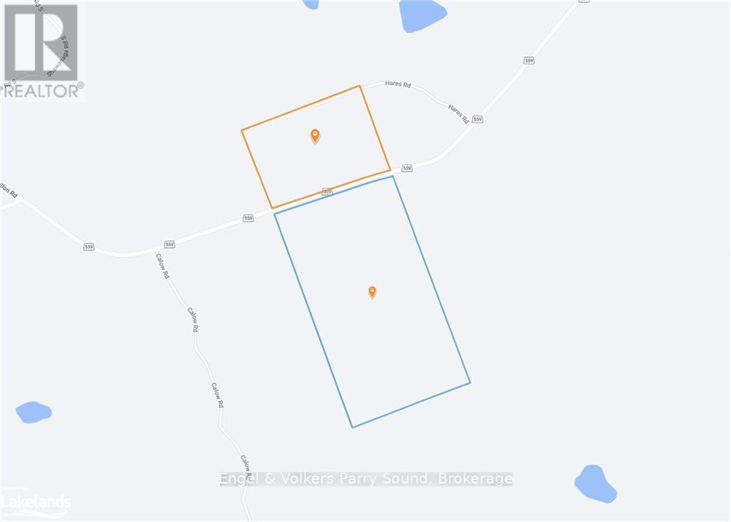 261 Highway 559, Carling, Ontario  P0G 1G0 - Photo 10 - X10440016