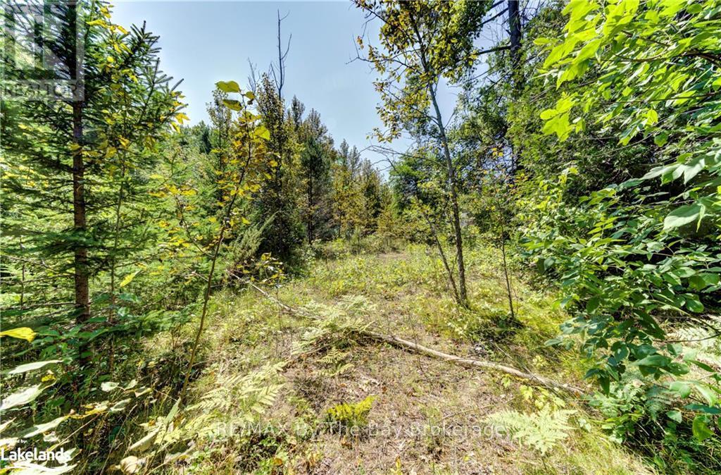 Lot 55 55th Street S, Wasaga Beach, Ontario  L9Z 1X1 - Photo 22 - S10439788
