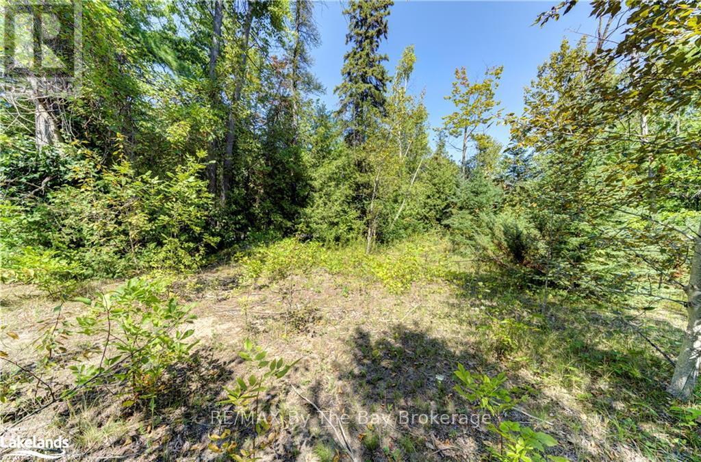 Lot 55 55th Street S, Wasaga Beach, Ontario  L9Z 1X1 - Photo 23 - S10439788