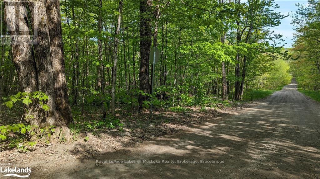 1 Northshore Road, Muskoka Lakes, Ontario  P0B 1M0 - Photo 15 - X10437271