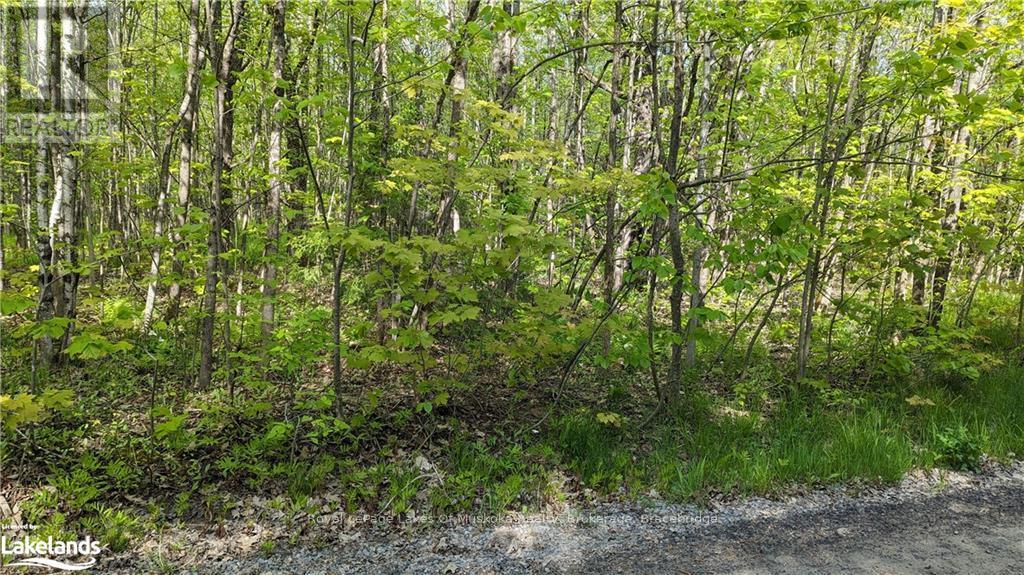 1 Northshore Road, Muskoka Lakes (Watt), Ontario  P0B 1M0 - Photo 17 - X10437271