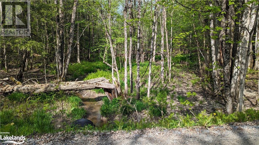 1 Northshore Road, Muskoka Lakes (Watt), Ontario  P0B 1M0 - Photo 18 - X10437271