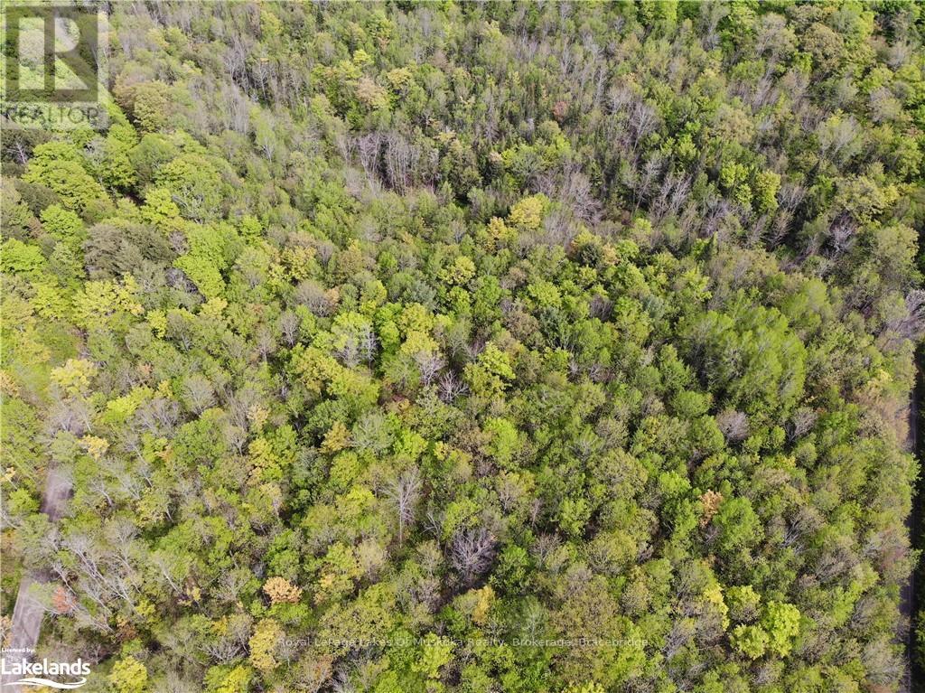 1 Northshore Road, Muskoka Lakes (Watt), Ontario  P0B 1M0 - Photo 7 - X10437271