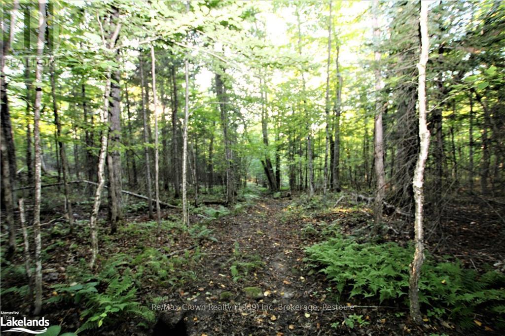 0a Pilgers Road, Nipissing, Ontario  P0H 1W0 - Photo 17 - X10439411