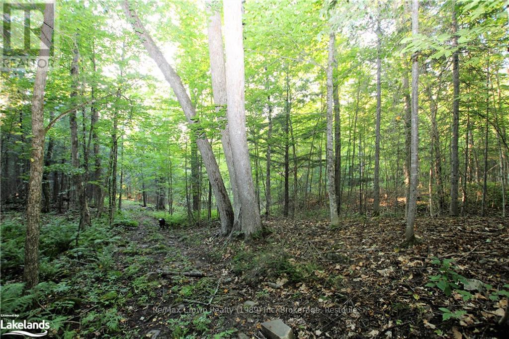 0a Pilgers Road, Nipissing, Ontario  P0H 1W0 - Photo 18 - X10439411