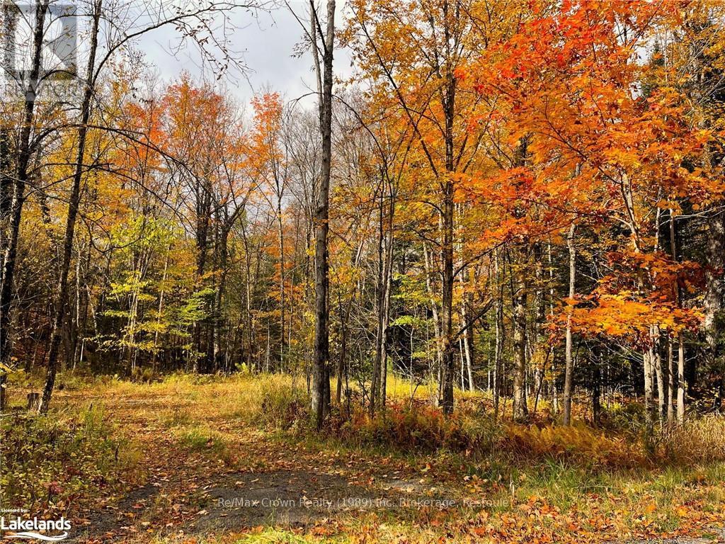 0a Pilgers Road, Nipissing, Ontario  P0H 1W0 - Photo 2 - X10439411