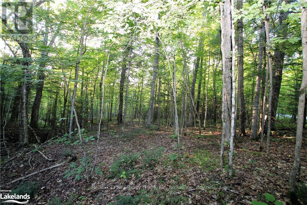 0a Pilgers Road, Nipissing, Ontario  P0H 1W0 - Photo 21 - X10439411