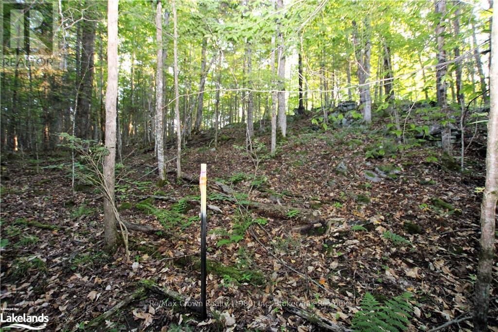 0a Pilgers Road, Nipissing, Ontario  P0H 1W0 - Photo 22 - X10439411