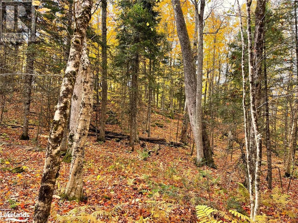 0a Pilgers Road, Nipissing, Ontario  P0H 1W0 - Photo 5 - X10439411