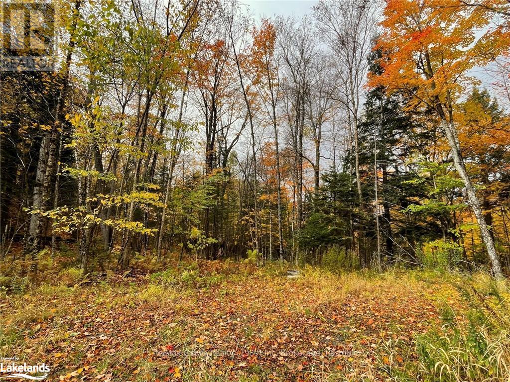 0a Pilgers Road, Nipissing, Ontario  P0H 1W0 - Photo 6 - X10439411