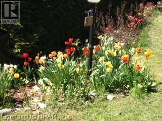 84784 Shamrock Beach Road, Ashfield-Colborne-Wawanosh (Ashfield), Ontario  N7A 3X9 - Photo 39 - X10780602