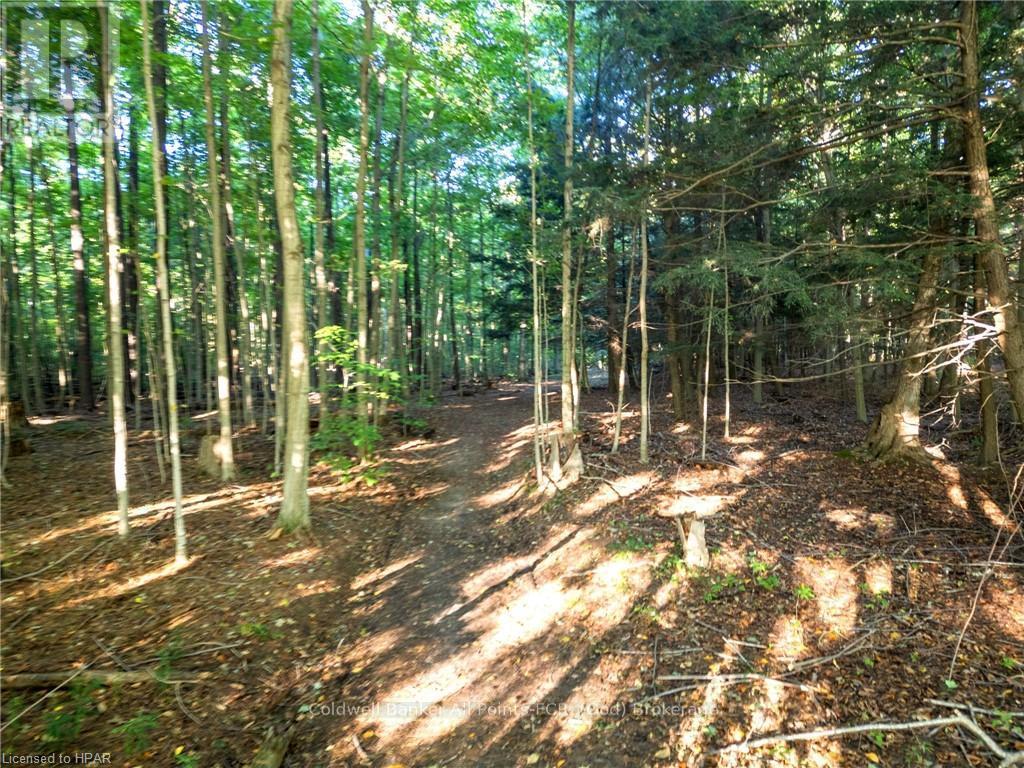 35449 Bayfield River Road, Central Huron (Goderich), Ontario  N0M 1G0 - Photo 11 - X10780622