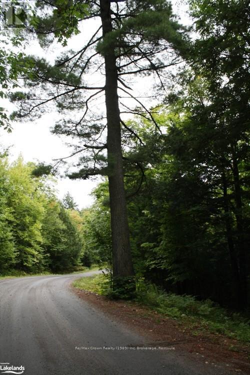 0a Pilgers Road, Nipissing, Ontario  P0H 1W0 - Photo 26 - X10439411