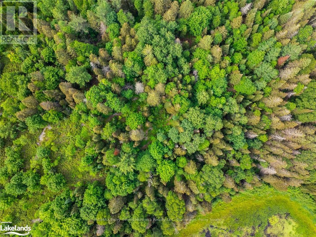 7281a Highway 124, Whitestone, Ontario  P0G 1G0 - Photo 17 - X10440083