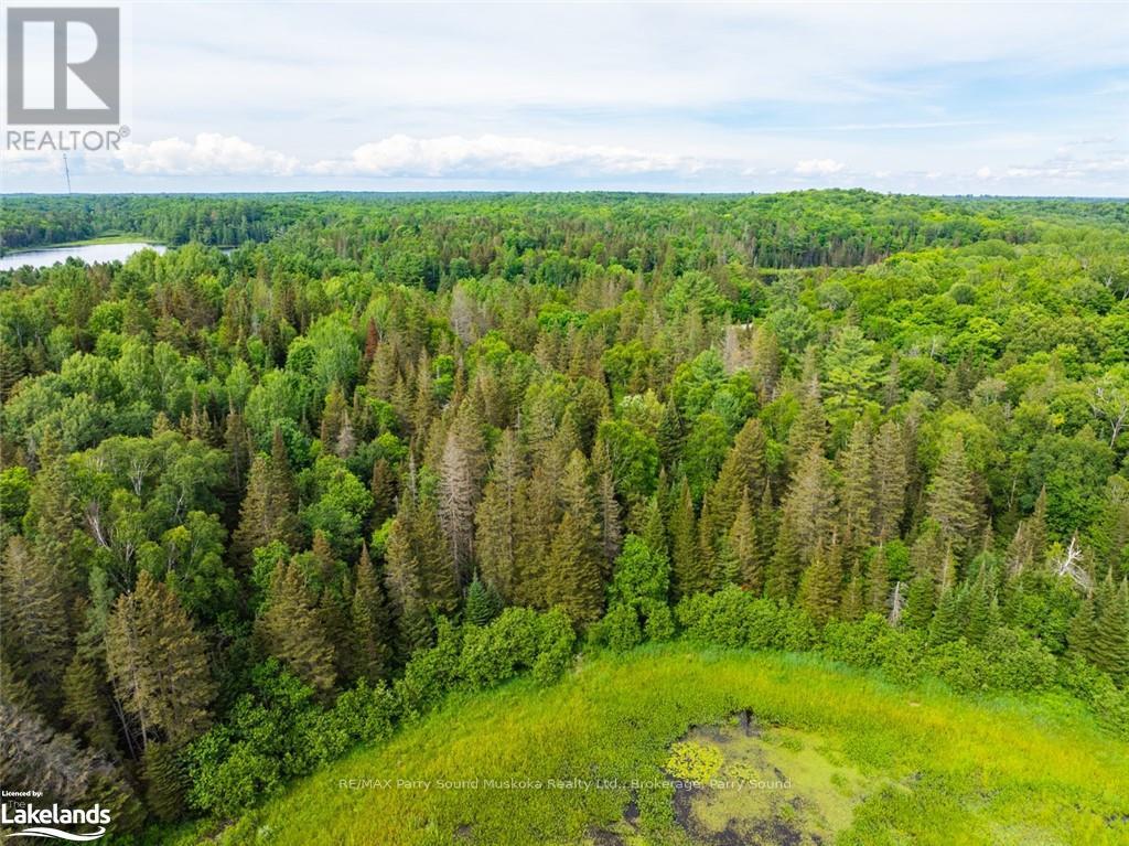 7281a Highway 124, Whitestone, Ontario  P0G 1G0 - Photo 20 - X10440083