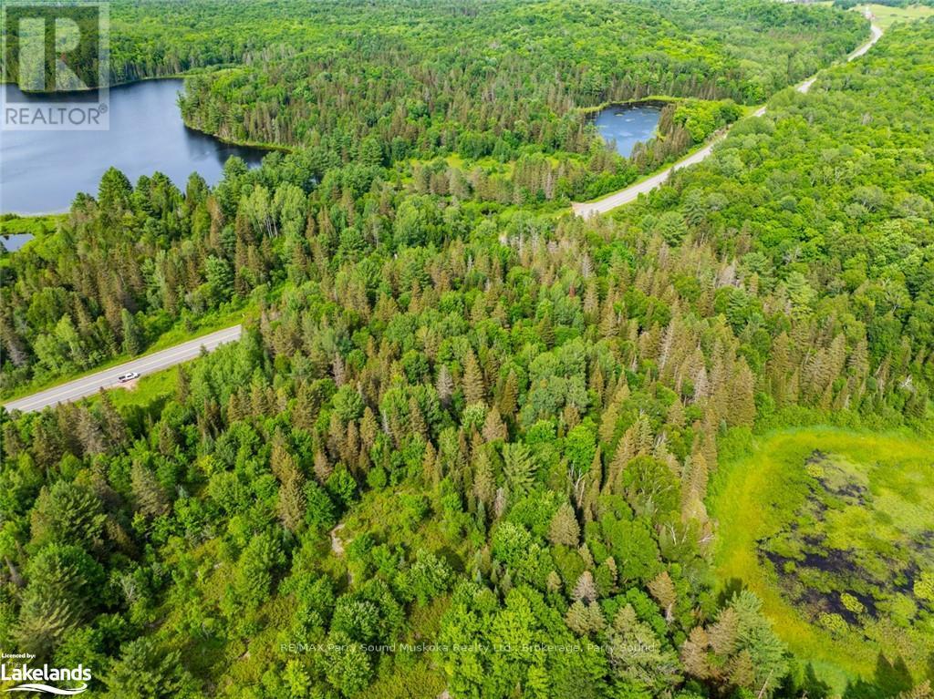 7281a Highway 124, Whitestone, Ontario  P0G 1G0 - Photo 3 - X10440083