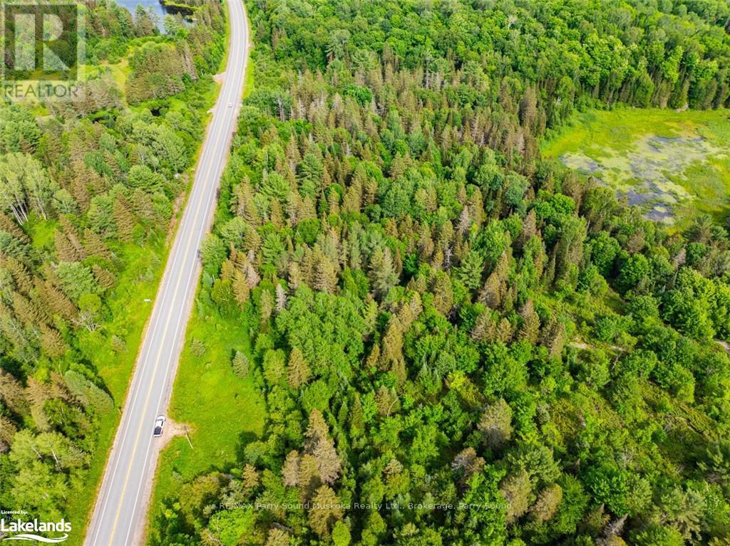 7281a Highway 124, Whitestone, Ontario  P0G 1G0 - Photo 5 - X10440083