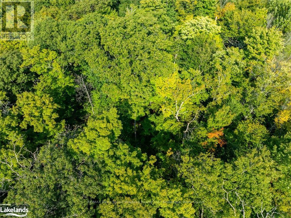 14 Burnside Bridge Road, Mcdougall, Ontario  P2A 2W9 - Photo 8 - X10440287