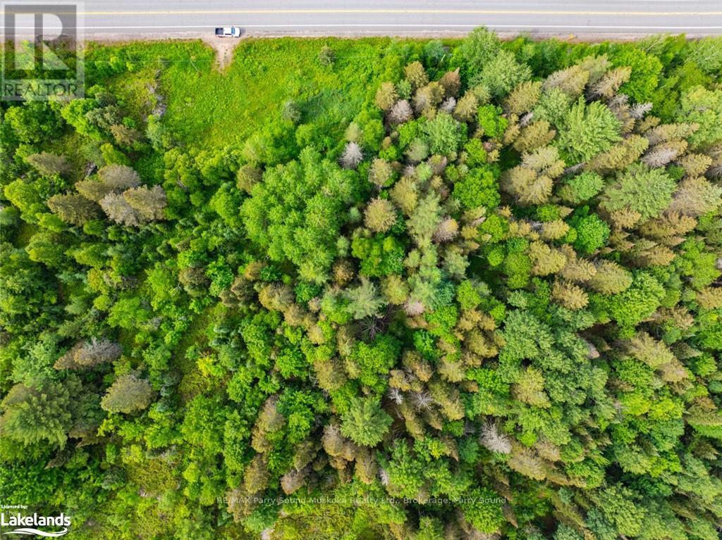 7281 Highway 124, Whitestone, Ontario  P0G 1G0 - Photo 14 - X10440288