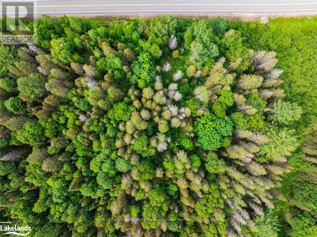 7281 Highway 124, Whitestone, Ontario  P0G 1G0 - Photo 15 - X10440288