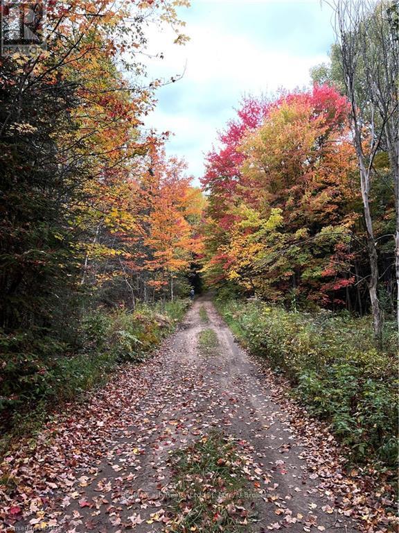 1759 Alsace Road, Nipissing, Ontario  P0H 1Z0 - Photo 12 - X10780753