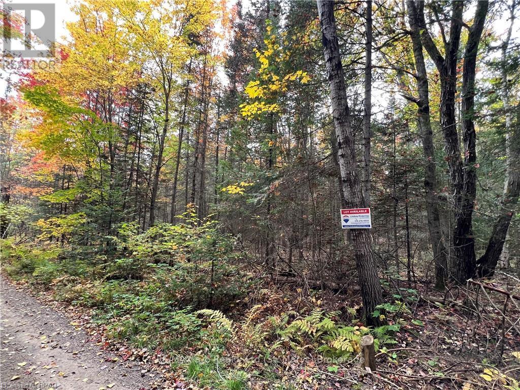 1759 Alsace Road, Nipissing, Ontario  P0H 1Z0 - Photo 13 - X10780753