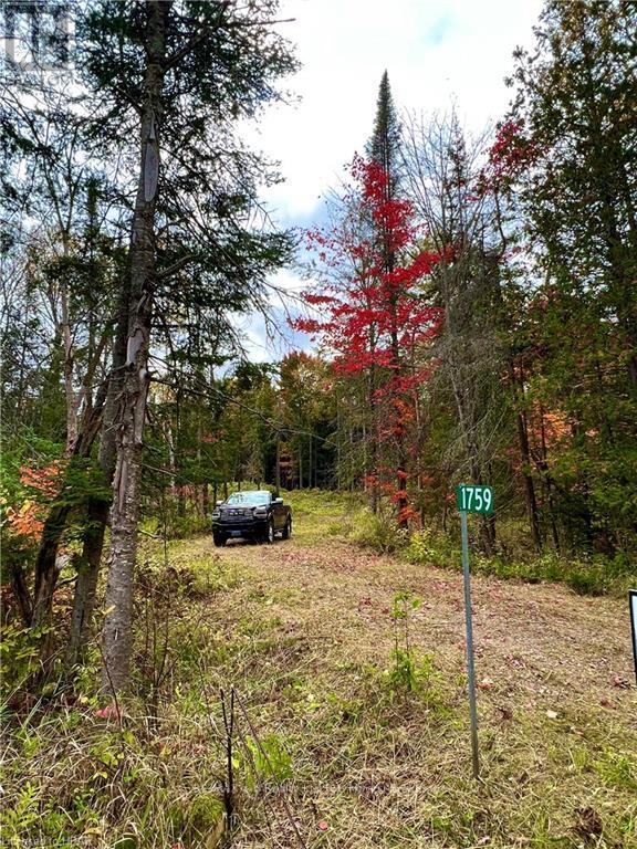 1759 Alsace Road, Nipissing, Ontario  P0H 1Z0 - Photo 2 - X10780753