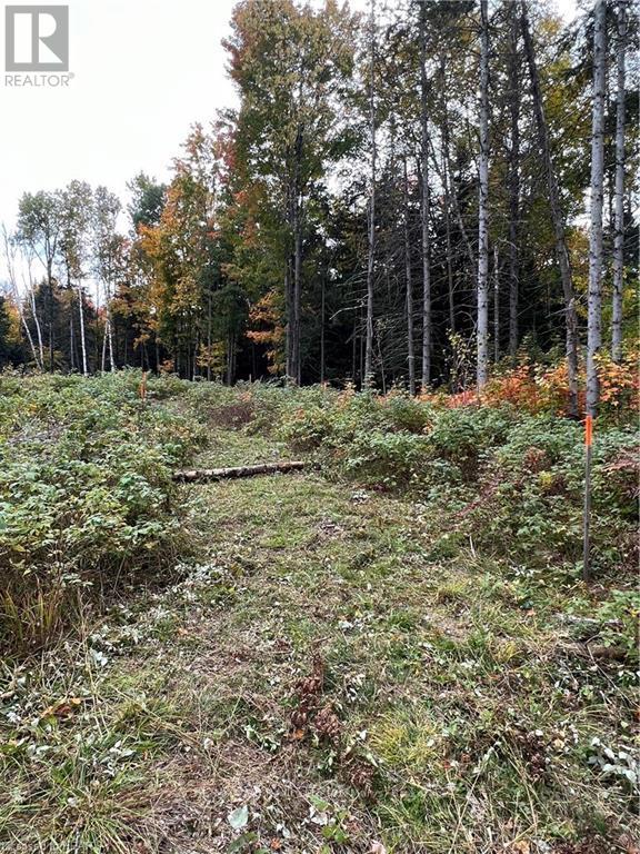 1759 Alsace Road, Nipissing, Ontario  P0H 1Z0 - Photo 4 - X10780753