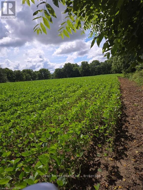 1511 Gainsborough Road, Middlesex Centre, Ontario  N6H 5L2 - Photo 10 - X10781425