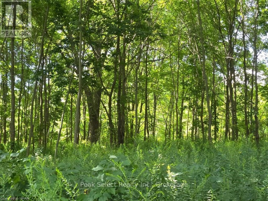 1511 Gainsborough Road, Middlesex Centre, Ontario  N6H 5L2 - Photo 11 - X10781425