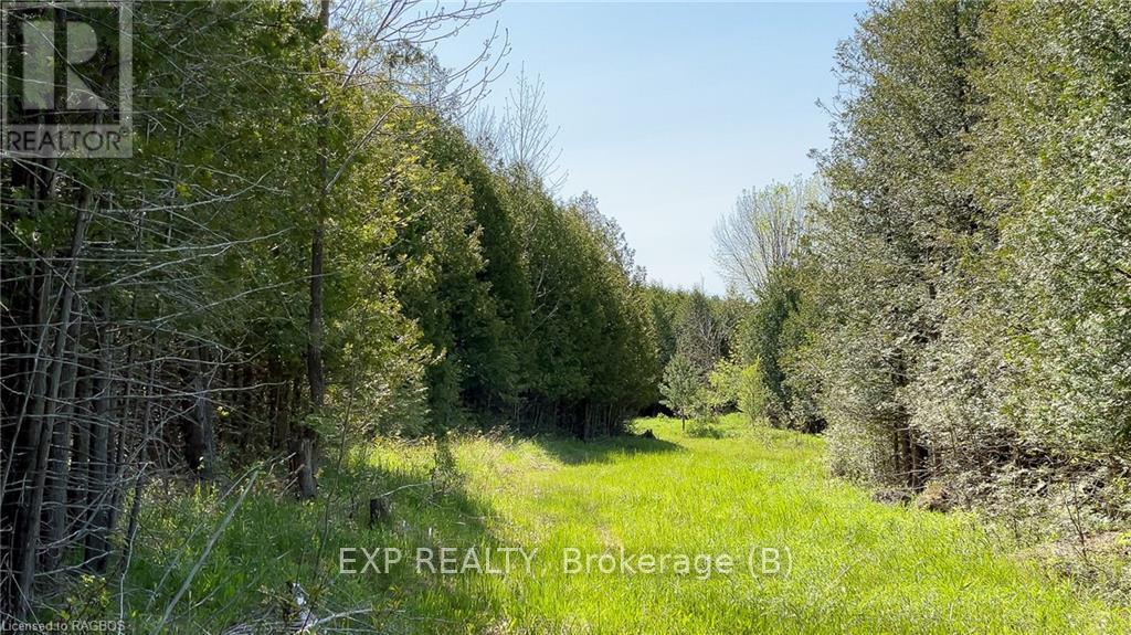 557329 4th S, Meaford, Ontario  N0H 1E0 - Photo 10 - X10845909
