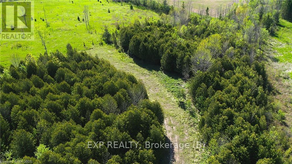 557329 4th S, Meaford, Ontario  N0H 1E0 - Photo 9 - X10845909