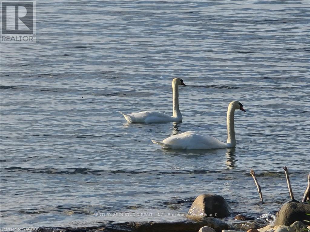 258 Ironwood Way, Georgian Bluffs, Ontario  N0H 1S0 - Photo 37 - X10847074