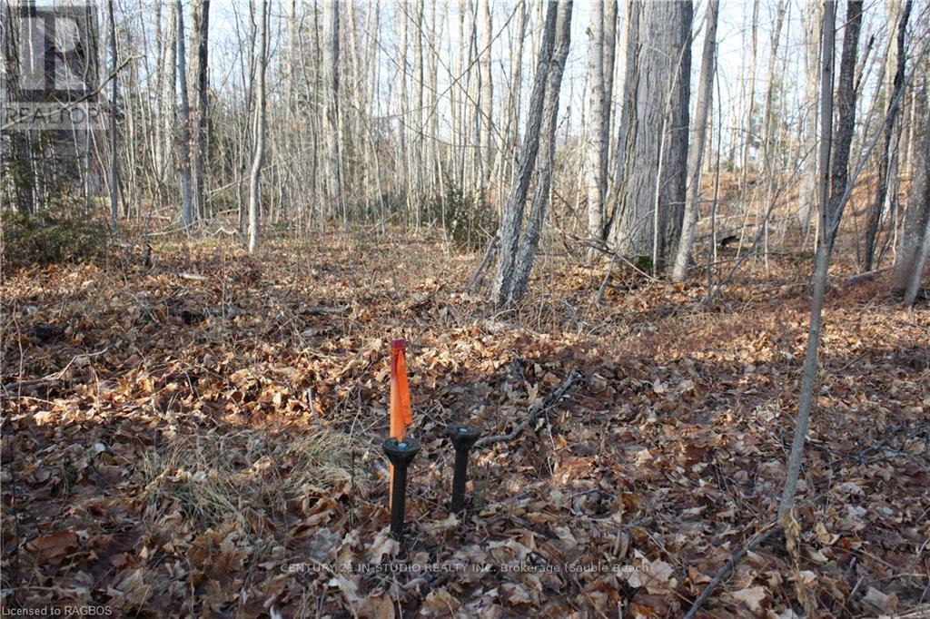 Part Lot 1 Dorena Crescent, South Bruce Peninsula, Ontario  N0H 2G0 - Photo 10 - X11822808