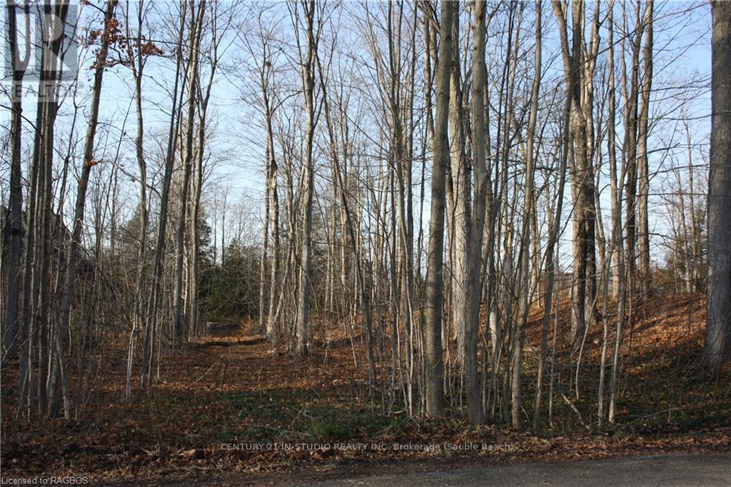 Part Lot 1 Dorena Crescent, South Bruce Peninsula, Ontario  N0H 2G0 - Photo 11 - X11822808