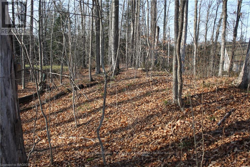 Part Lot 1 Dorena Crescent, South Bruce Peninsula, Ontario  N0H 2G0 - Photo 3 - X11822808