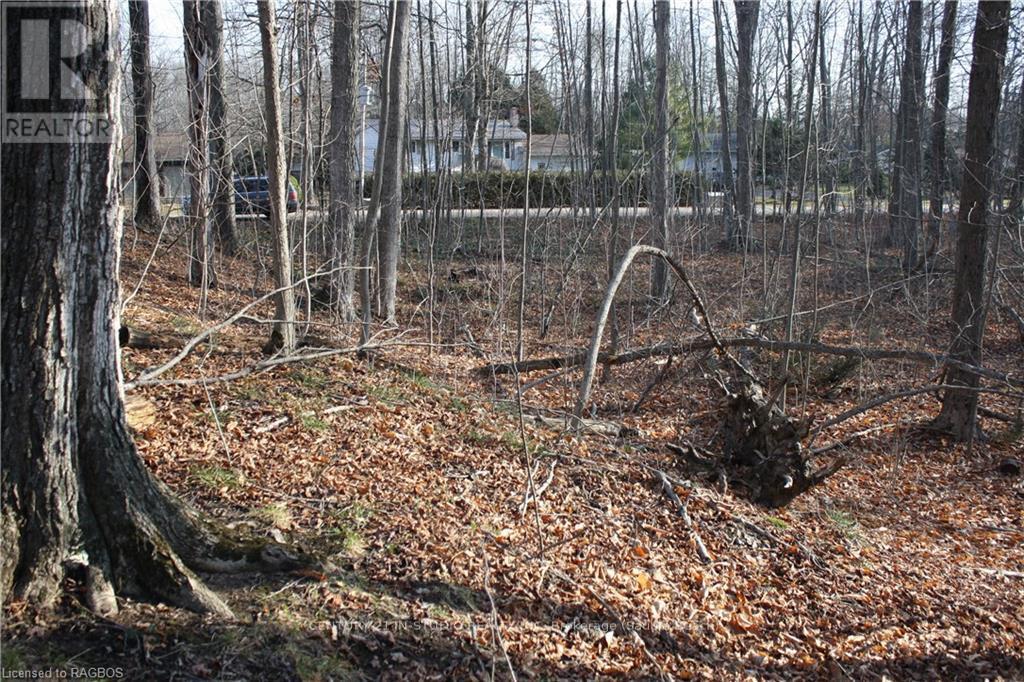 Part Lot 1 Dorena Crescent, South Bruce Peninsula, Ontario  N0H 2G0 - Photo 5 - X11822808