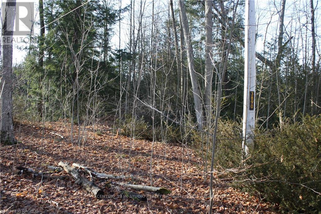 Part Lot 1 Dorena Crescent, South Bruce Peninsula, Ontario  N0H 2G0 - Photo 7 - X11822808