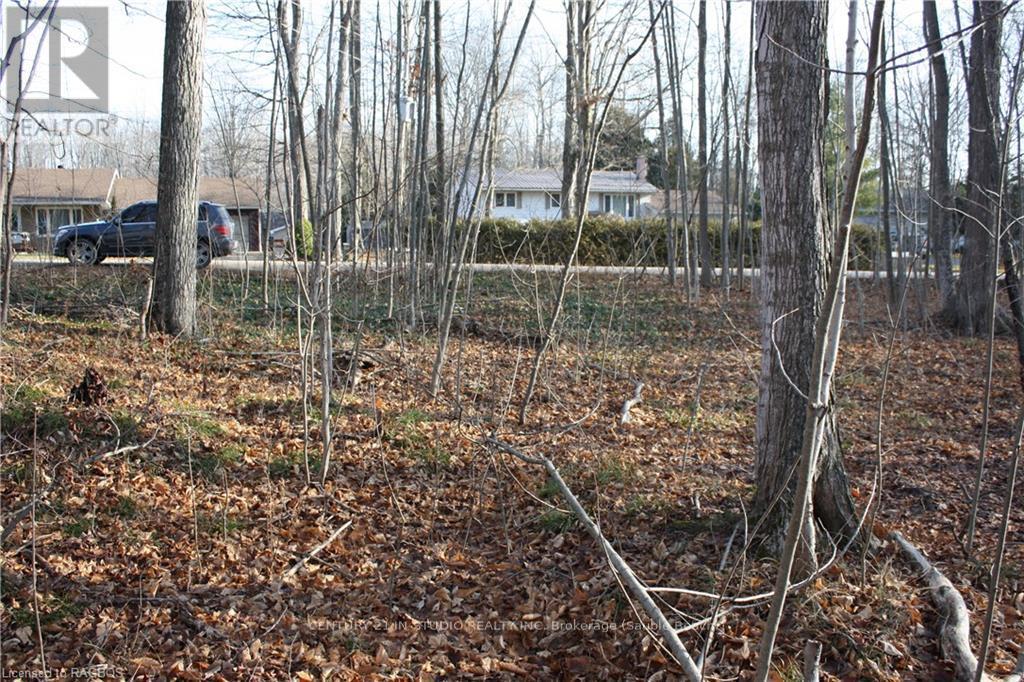 Part Lot 1 Dorena Crescent, South Bruce Peninsula, Ontario  N0H 2G0 - Photo 8 - X11822808
