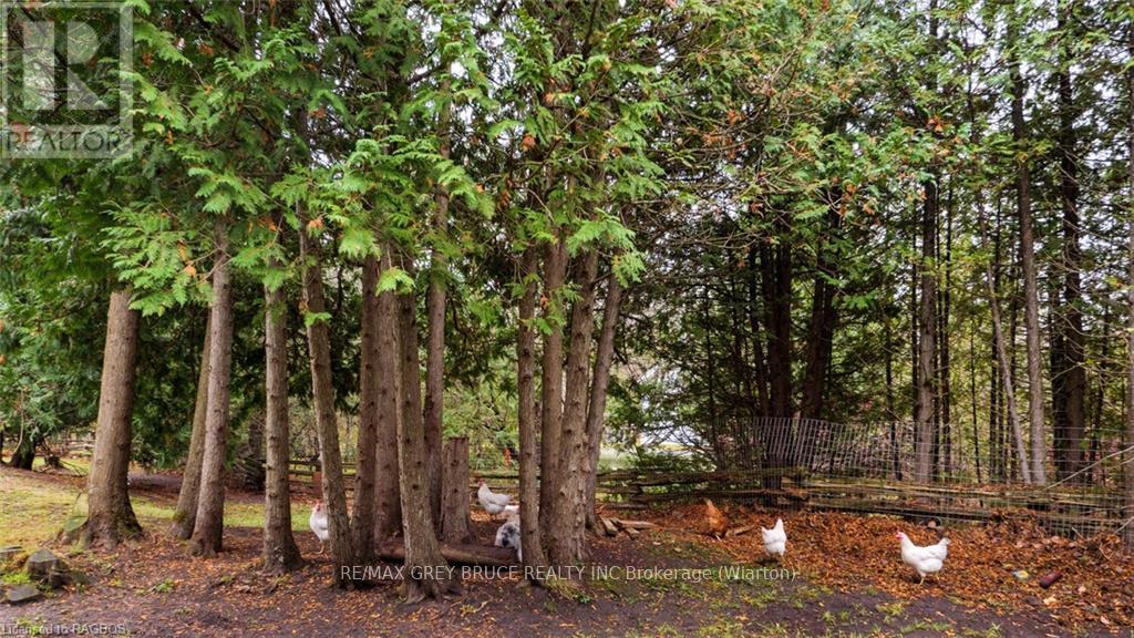 26 Mary Avenue, South Bruce Peninsula, Ontario  N0H 2T0 - Photo 32 - X11822737