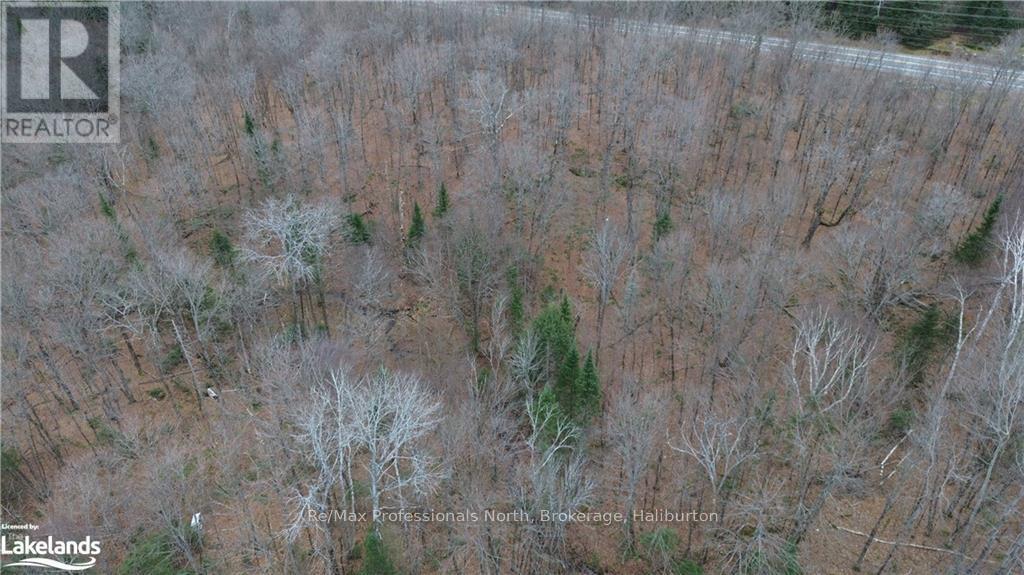 - Coumbs Road, Highlands East, Ontario  K0M 1S0 - Photo 10 - X11822795