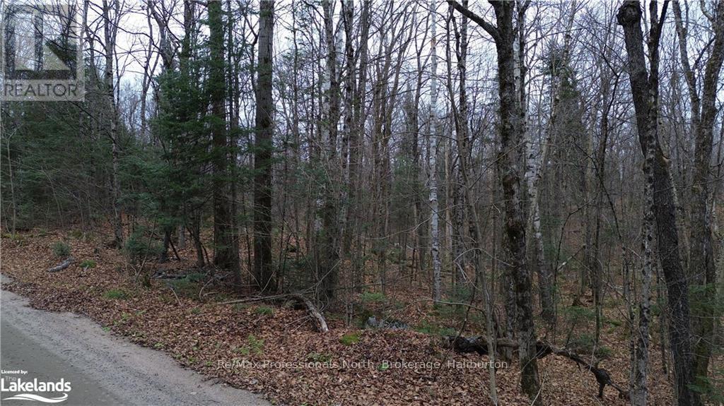 - Coumbs Road, Highlands East, Ontario  K0M 1S0 - Photo 16 - X11822795